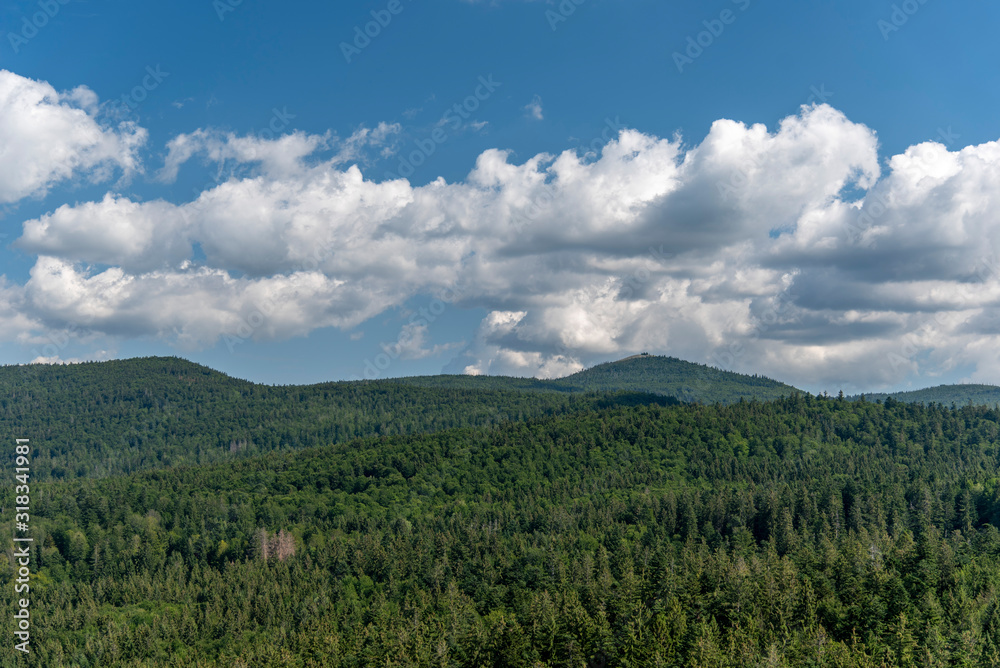 Tree tower, Tree Top Walk, Bavarian Forest National Park, Neuschönau, Bavaria, Germany Tree tower, Tree Top Walk, Bavarian Forest National Park, Neuschönau, Bavaria, Germany