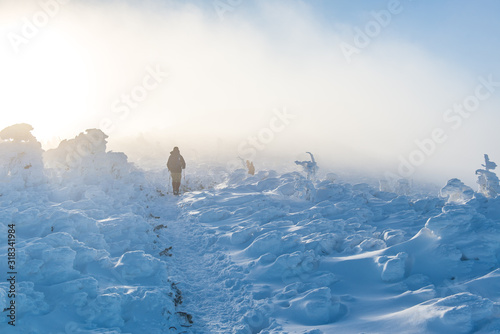 Fototapeta Naklejka Na Ścianę i Meble -  Babia Góra, Beskidy 2019