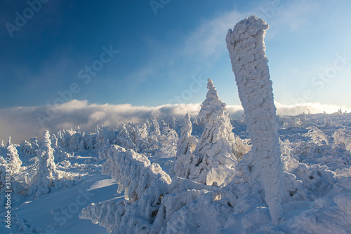 Fototapeta Naklejka Na Ścianę i Meble -  Babia Góra, Beskidy 2019