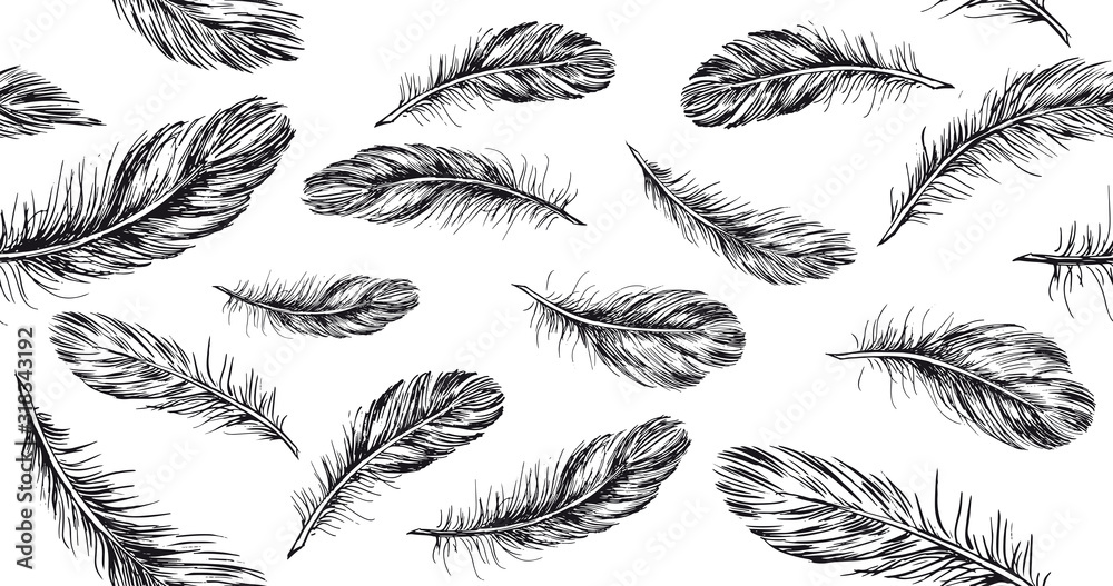 Hand drawn feather on white background. Hand drawn feather on white background.
