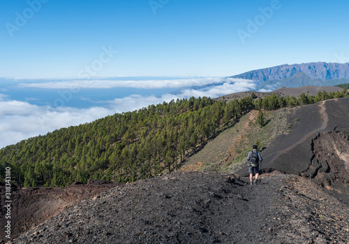 Beautiful volcanic landscape with lush green pine trees and colorful volcanoes along the path Ruta de los Volcanes, beautiful hiking trail at La Palma island, Canary Islands, Spain, Blue sky