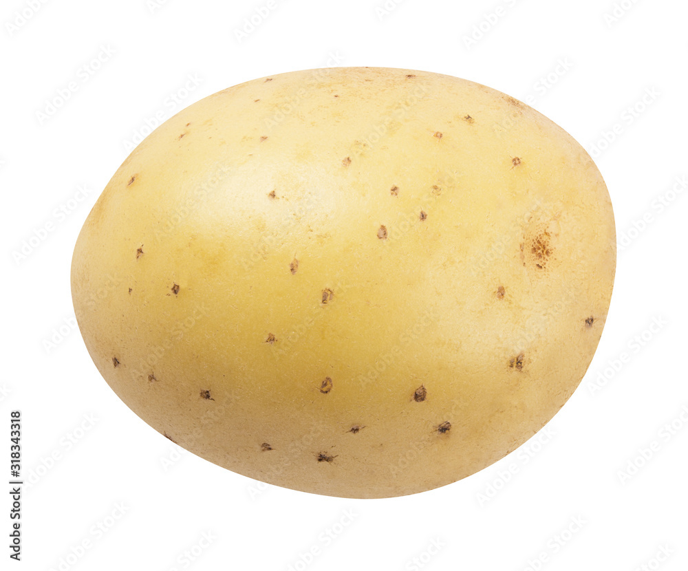 Fresh potato isolated on white background  with clipping path
