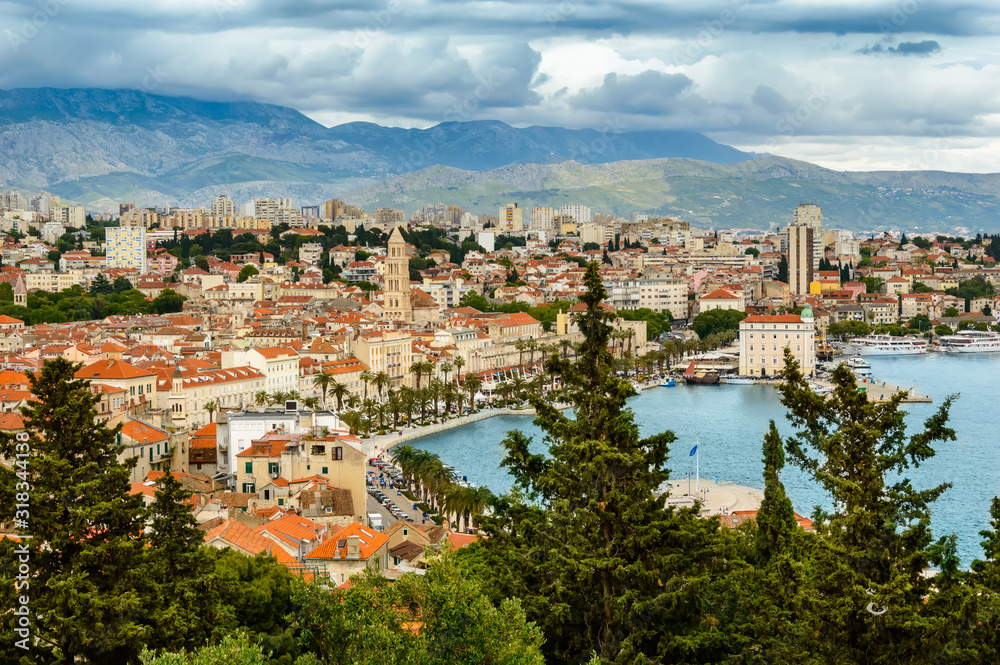 Split, Croatia: View over old town with colorful buildings, Riva Promenade, palm trees and bay from Marjan hill. Mountains in the background, trees in front. Popular touristic destination