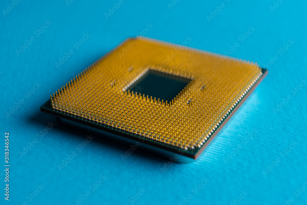 computer processor, gold-plated contacts, macro photo on a blue background computer processor, gold-plated contacts, macro photo on a blue background