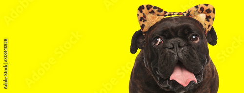 sweet boxer dog wearing headband with leopard ears