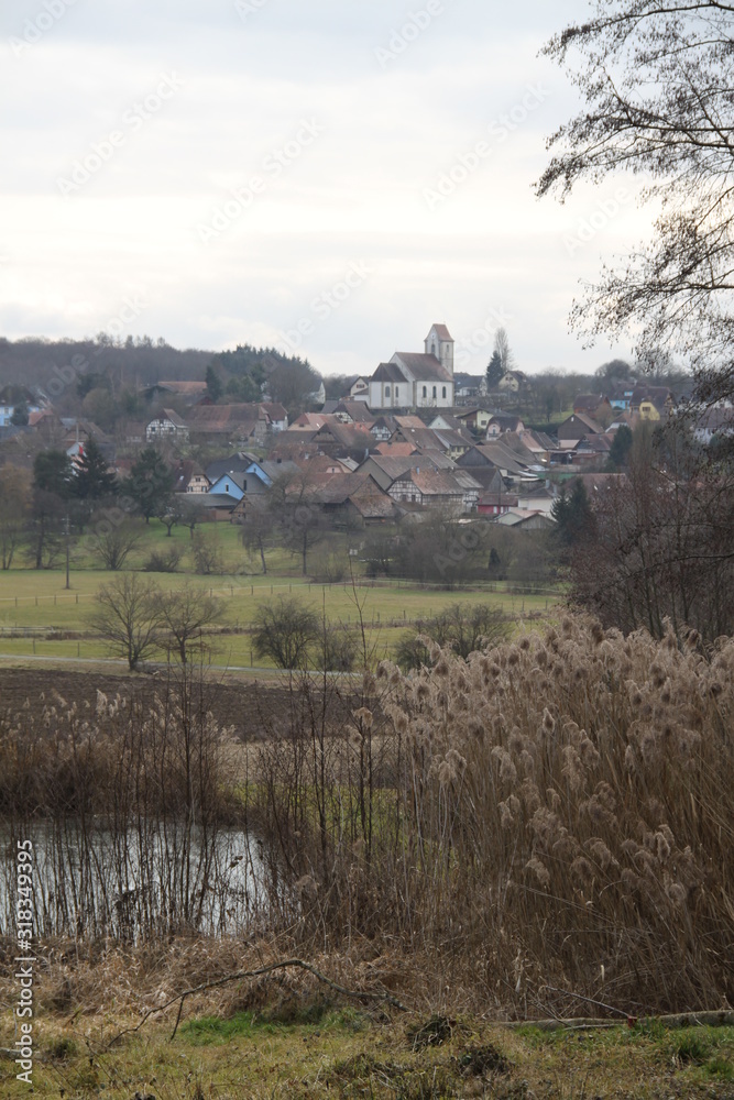 Alsatian frozen pond village landscape