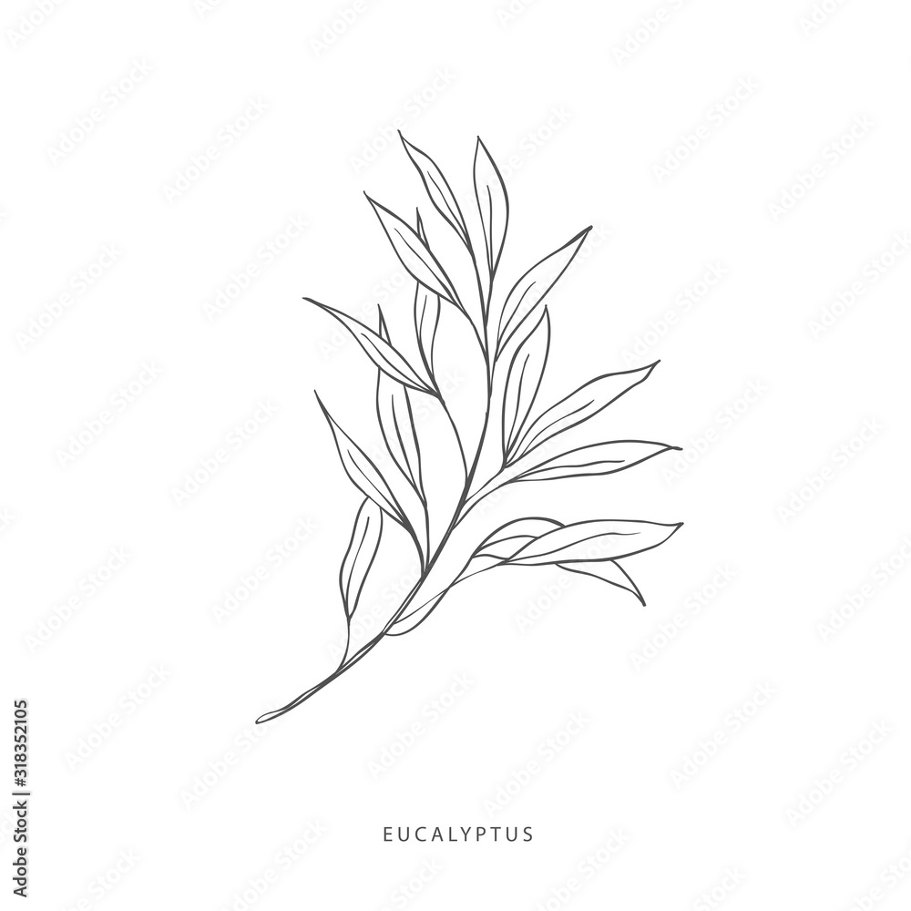 Naklejka premium Greenery design elements. Botanical logos.