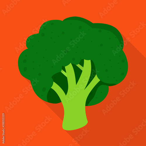 Vector design of broccoli and vegetables symbol. Collection of broccoli and green stock symbol for web.
