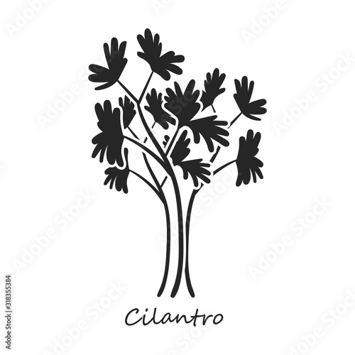 Cilantro vector icon.Black,simple vector icon isolated on white background cilantro.