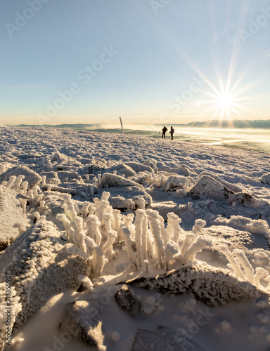 Fototapeta Naklejka Na Ścianę i Meble -  Scenic view of winter mountains morning 