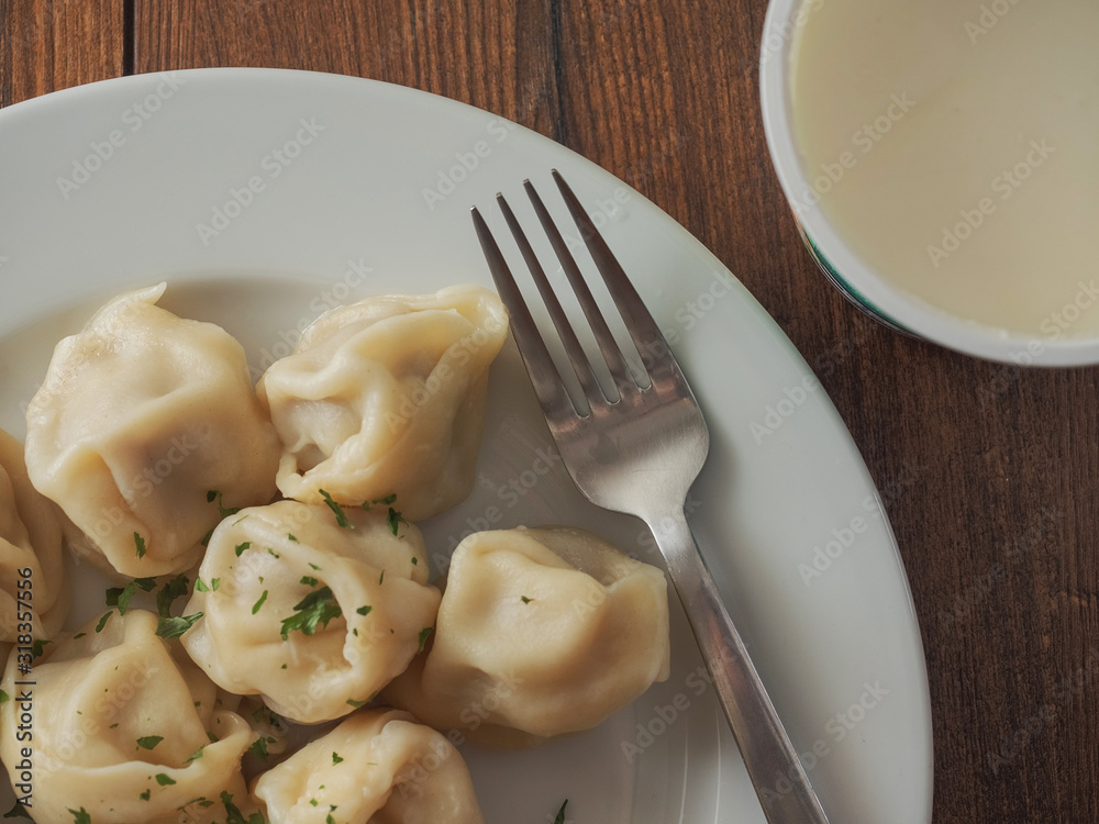 Dumpling on a white plate with herbs, pot with sour cream and metal fork. Traditional Eastern European food, Dumpling on a white plate with herbs, pot with sour cream and metal fork. Traditional Eastern European food,