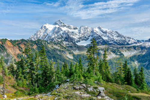 Canvas Print Mountain Shuksan through the forest