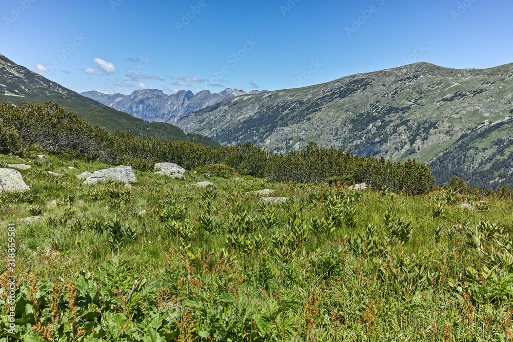 Fototapeta premium Landscape near The Fish Lakes (Ribni Ezera), Rila mountain