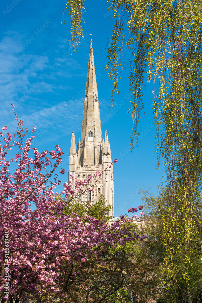 Norwich Cathedral in Norwich city, Norfolk, England, UK.