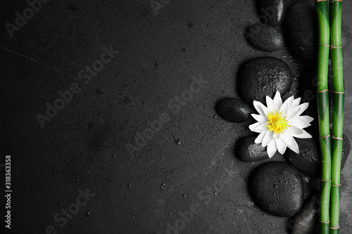 Photography Stones, bamboo, lotus flower and space for text on wet black background, flat lay