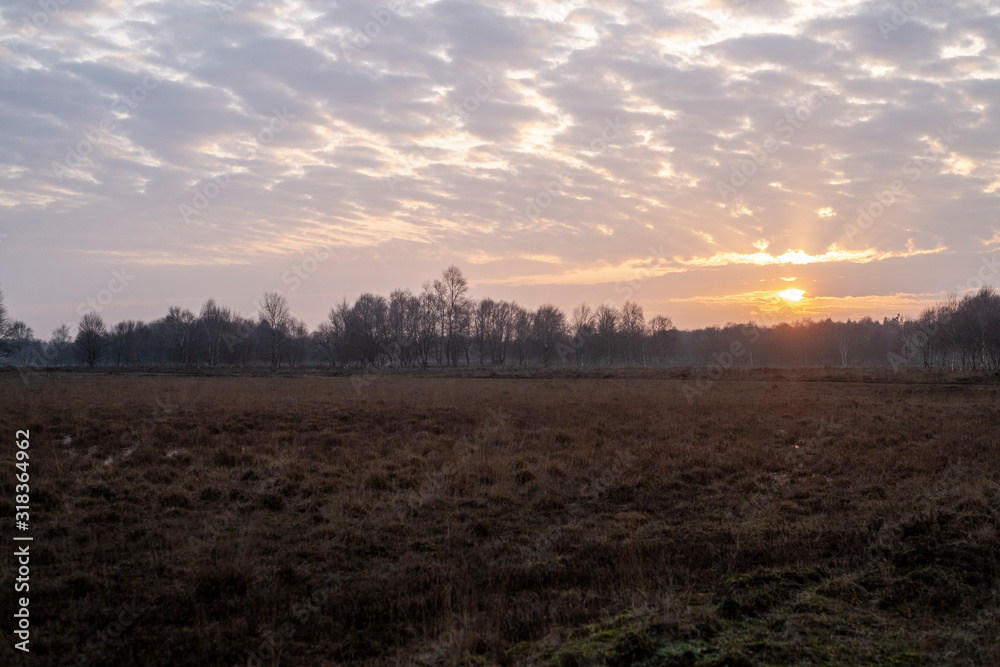 Fototapeta premium Landschaftsschutzgebiet Stapeler Moor bei Uplengen in Niedersachsen