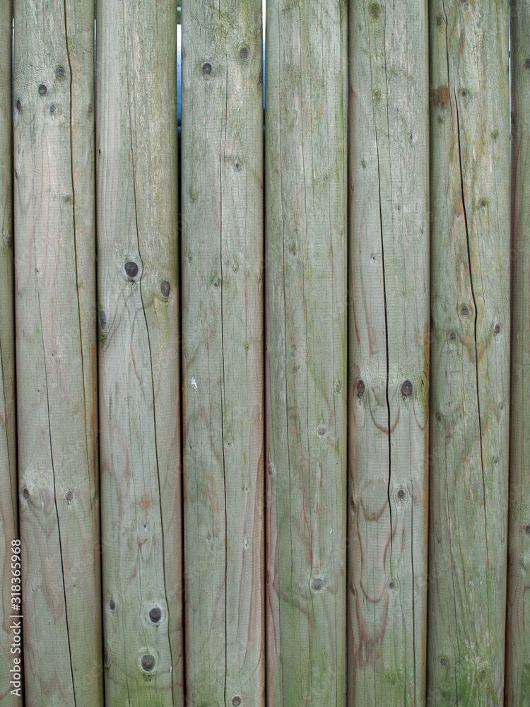 Fototapeta premium closeup on a wooden fence