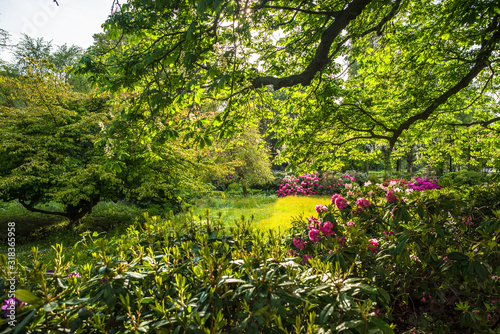 The Middle Gardens photo