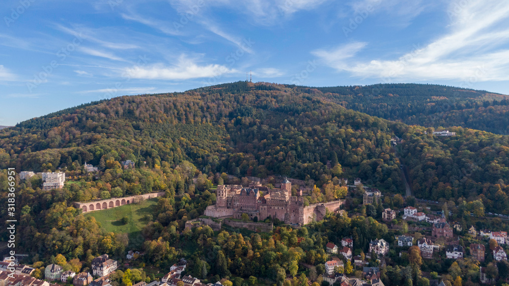 Aerial view of Heidelberg Palace in Germany