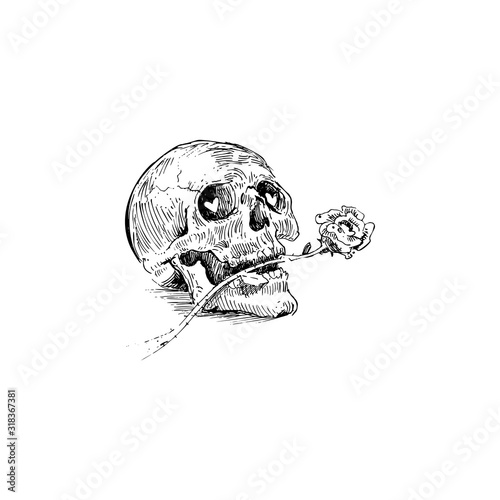 Skull with a rose in the mouth illustration. Simple flat vector of valentine's day pack for UI and UX, website or mobile application