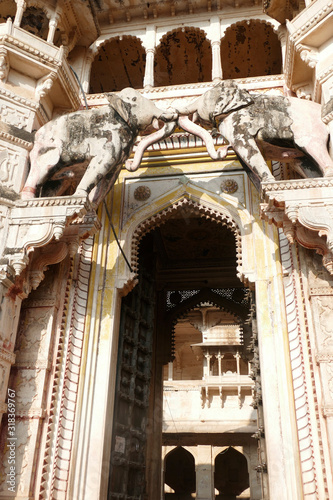 Elephants link their trunks over the Hathi  Pol Gate photo