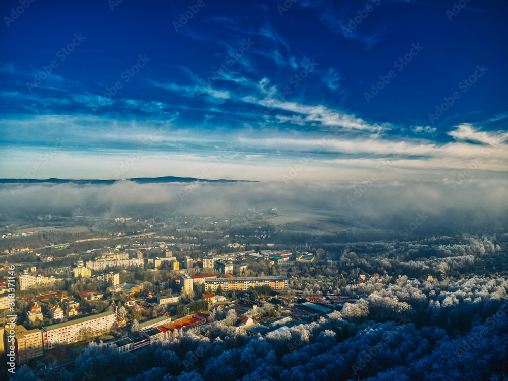 Obraz premium aerial view of Pine trees forest on cold winter morning