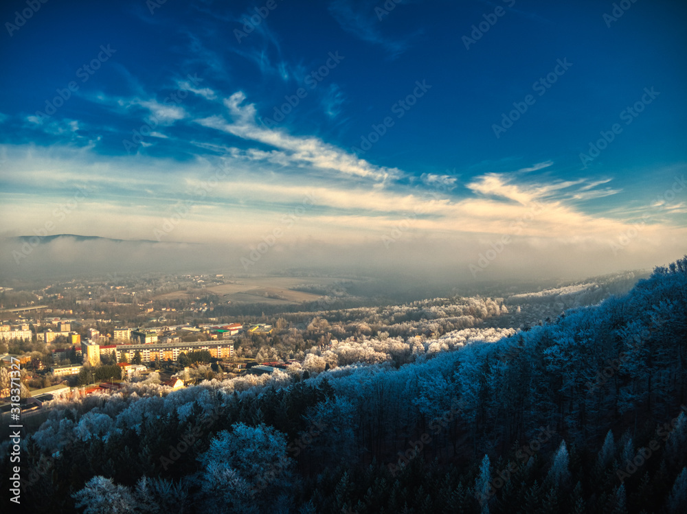 Fototapeta premium aerial view of Pine trees forest on cold winter morning