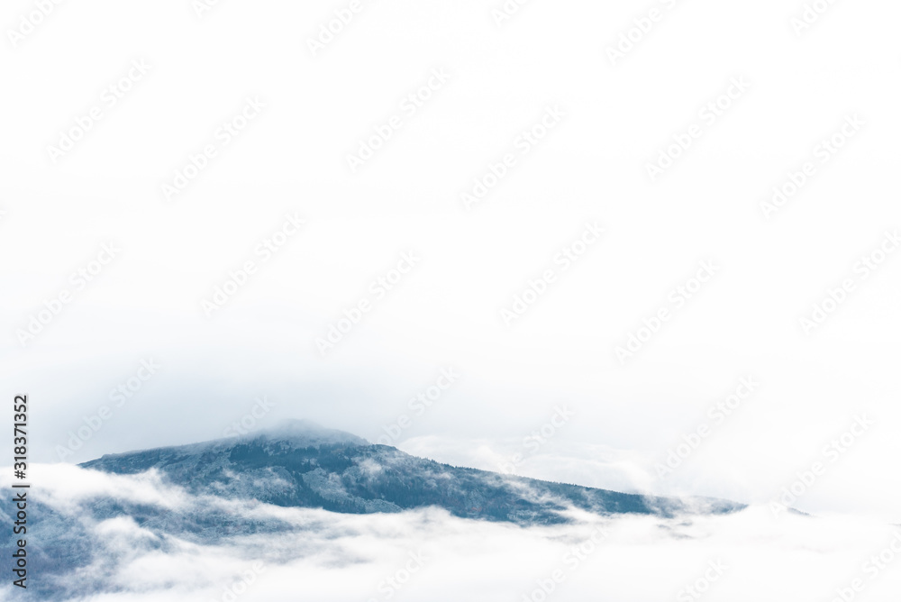 mountains with trees and fog in monochrome color space for text white blue rural calm
