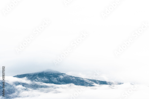 mountains with trees and fog in monochrome color space for text white blue rural calm © Valentin