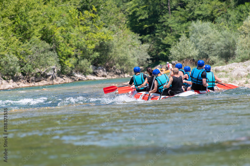 Rafting team goes down the river on the beautiful sunny day. Back view.
