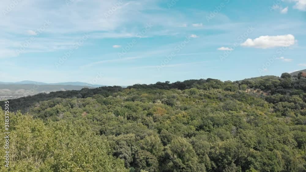 TUSCANY, ITALY - SUMMER 2019: aerial drone flight over tuscan national park forest