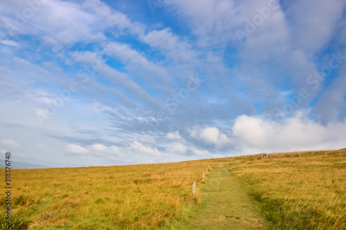 chemin d herbe sur une colline