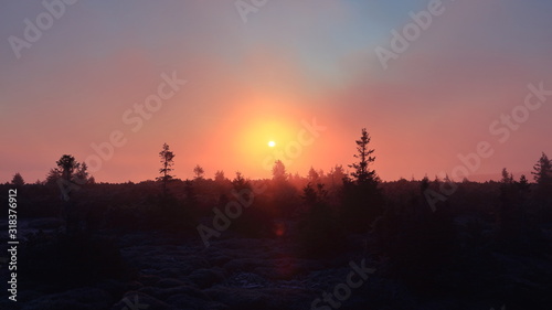 Foggy sunrise in a mountain forest, Pecny (1330 m), Jeseniky, Czech Republic photo