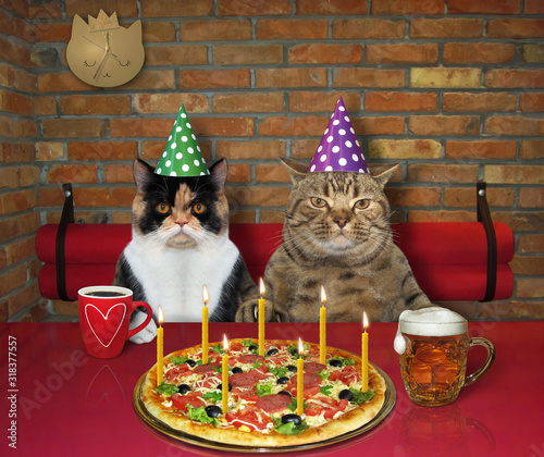 Konstfotografi The couple of cats in love celebrate a birthday in the restaurant