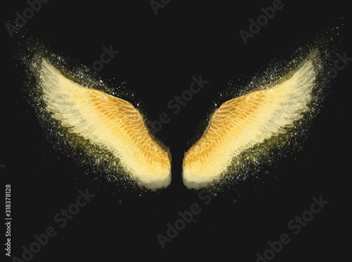 Angel Wings photo