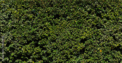 Billede på lærred Herbage Fence