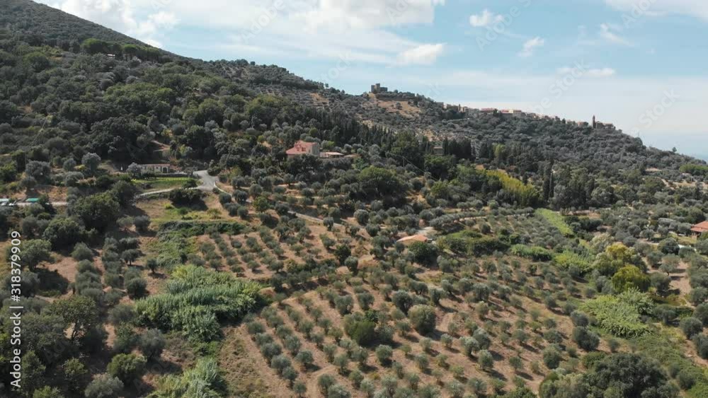 TUSCANY, ITALY – SUMMER 2019: drone fly over tuscan grape fields, zoom in TUSCANY, ITALY – SUMMER 2019: drone fly over tuscan grape fields, zoom in