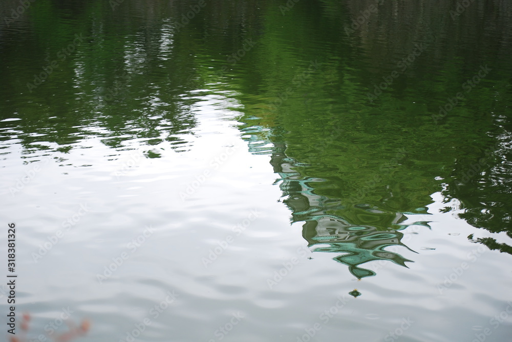 水面 水面