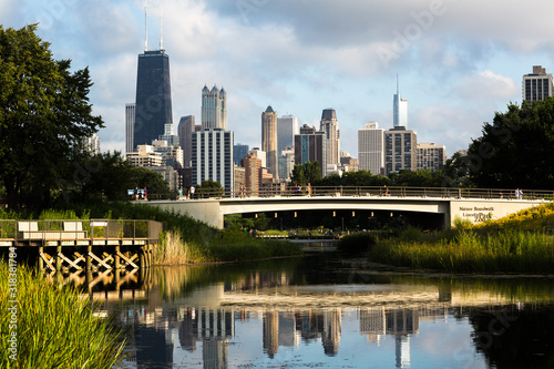 Chicago Skyline photo