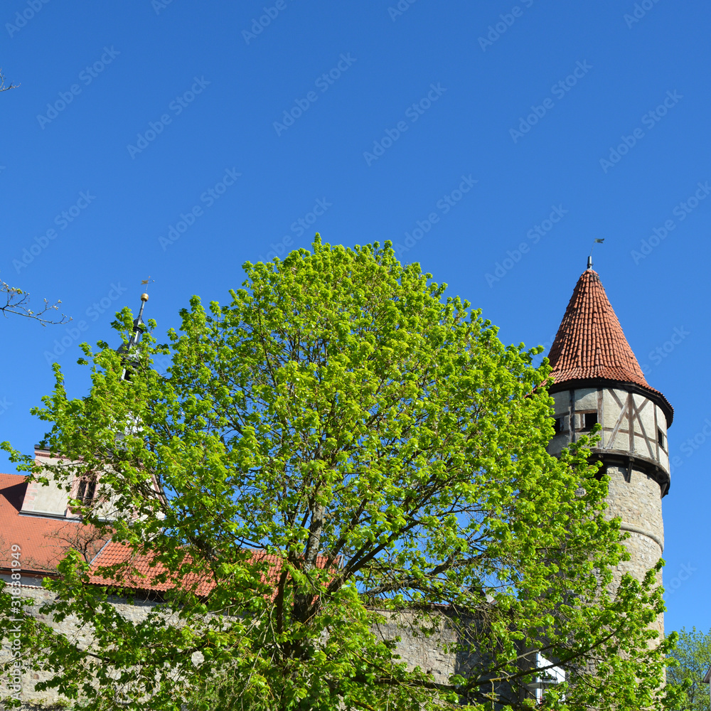 A  tower of the old church castle in German with tree in the foreground
