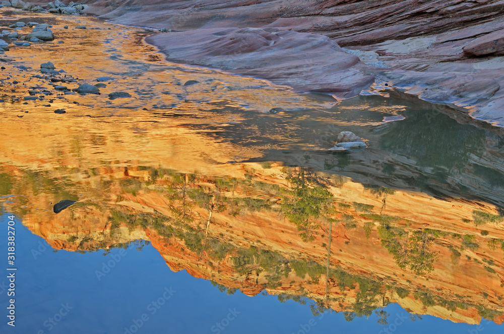 Landscape of Pine Creek with reflections of sunlit cliff, Zion National Park, Utah, USA