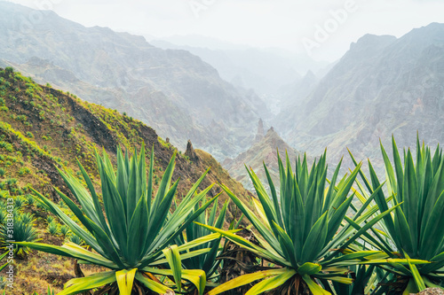 Santo Antao island at Cabo Verde. Volcano terrain with mountain edges above the valley overgrown with agave plants photo