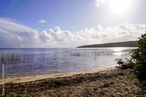 Hourtin lake sand wild beach in Gironde Aquitaine in sunrise