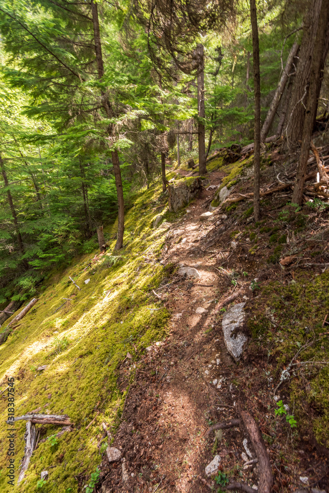 Mountain Trail in British Columbia, Canada. Mountains Background.