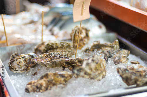 Fresh oysters at the food market. Fresh seafood appetizers