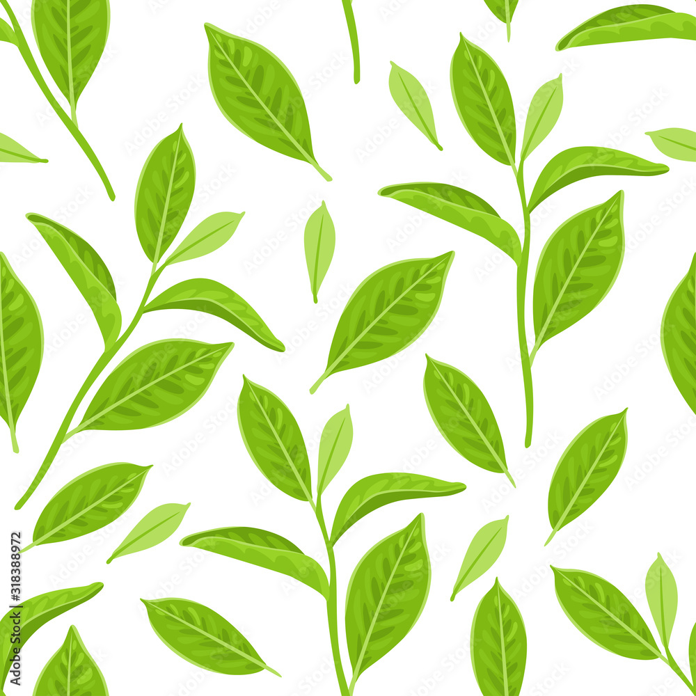 Seamless pattern with green tea leaves on white background. Vector illustration of a plant in a simple flat cartoon style.