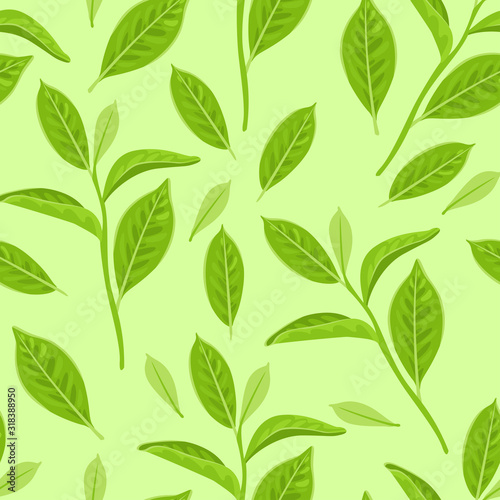 Green tea leaves seamless pattern. Branches with fresh leaves on a green background. Vector illustration of a young plant in cartoon flat style.