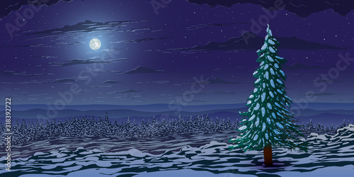 Vector illustration. Night winter landscape. Fir trees forest on hills at night with full moon.