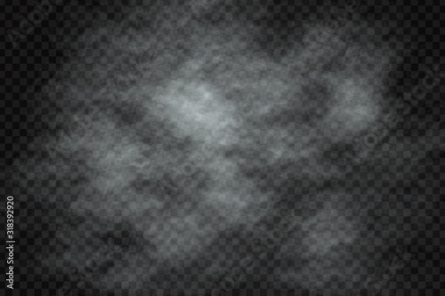 Vector realistic isolated smoke effect for decoration and covering on the transparent background.