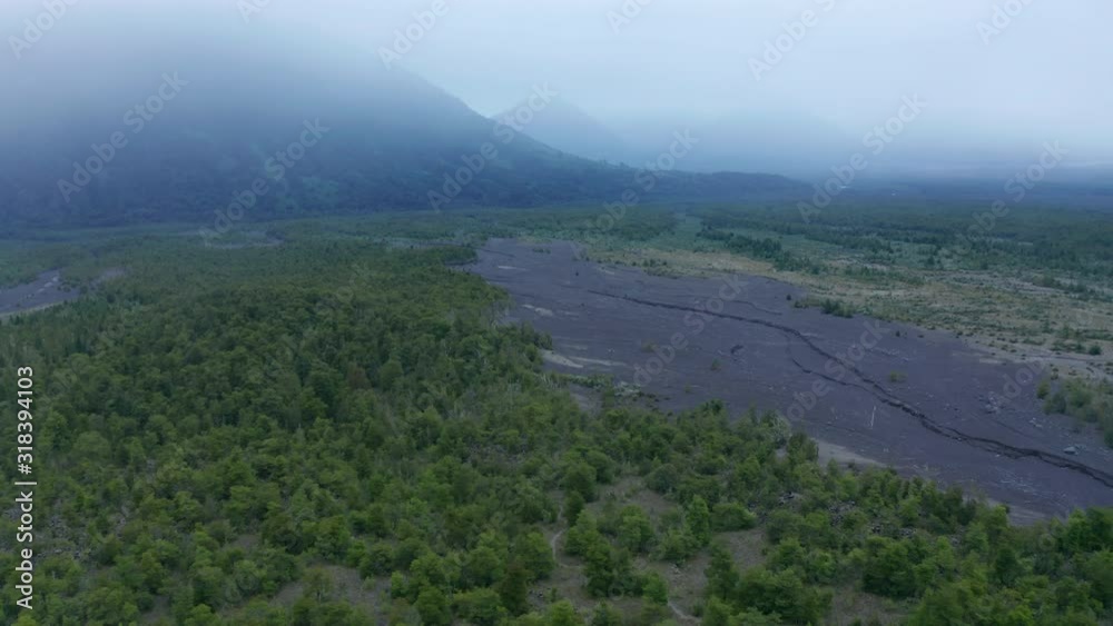 wide shot with drone over native valdivian temperate rainforest in a cloudy sky morning, with thaws from the Osorno volcano